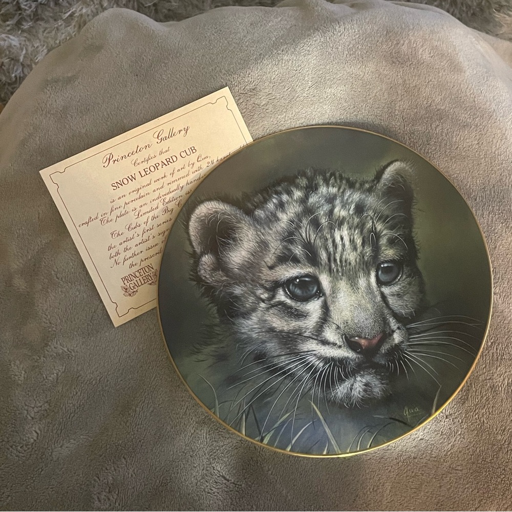 SNOW LEOPARD CUB PRINCETON GALLERIES COA